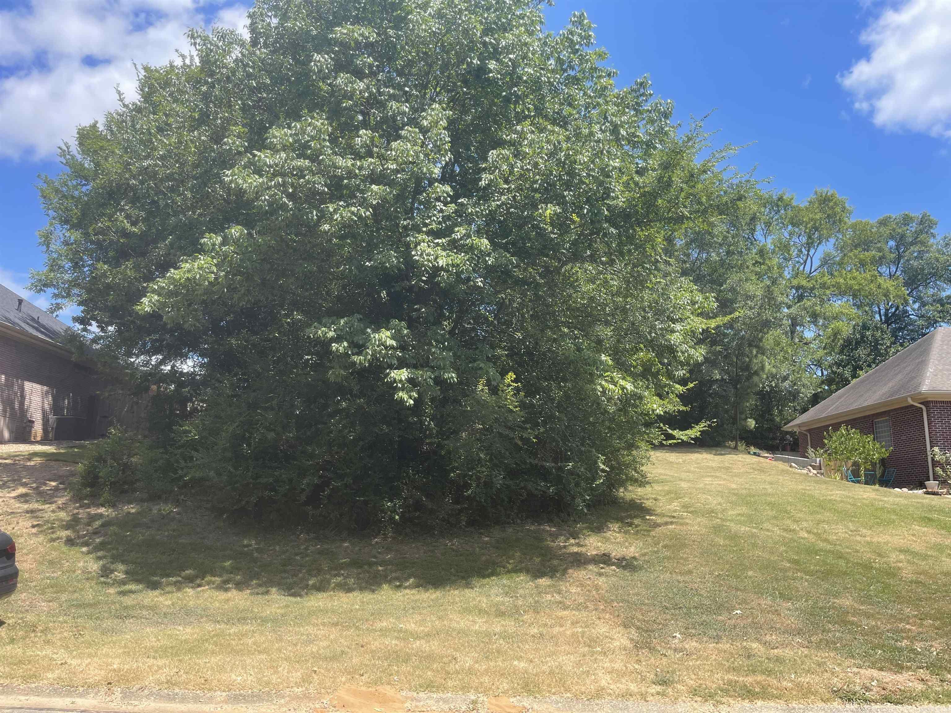 114  St Charles  Hot Springs, AR