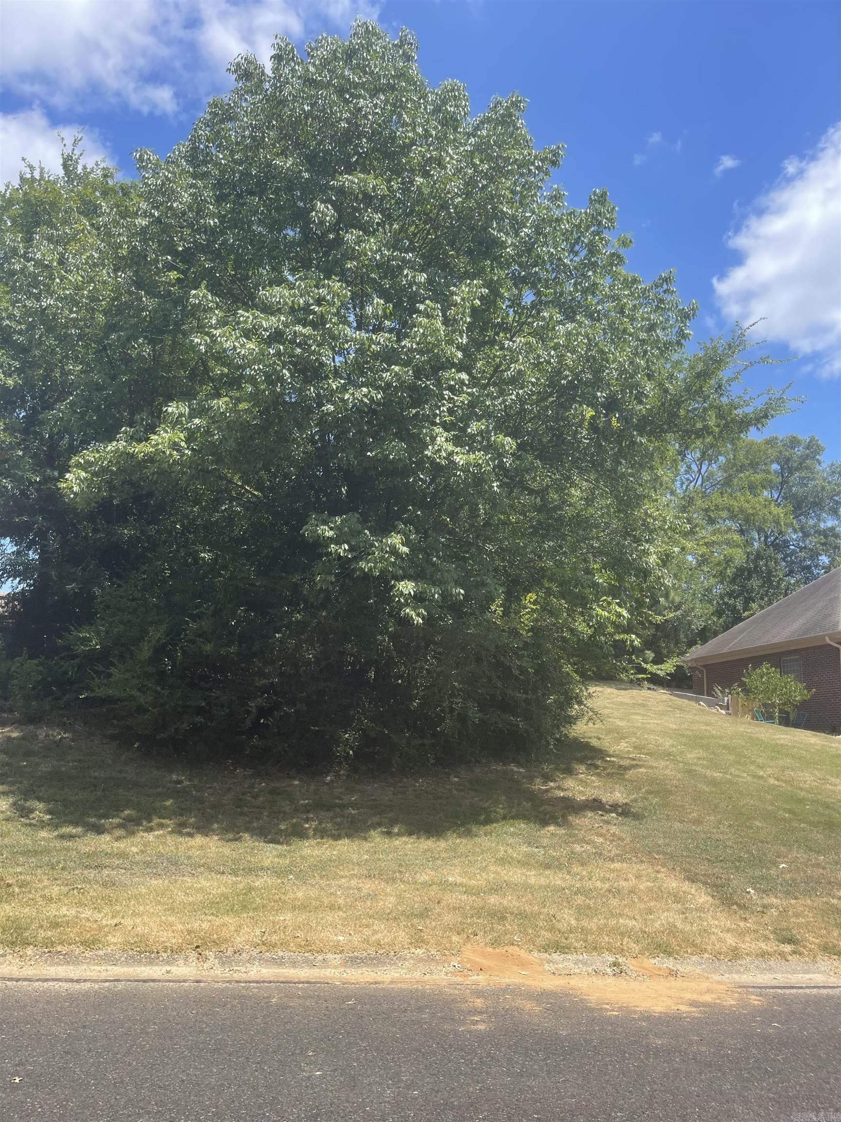 114  St Charles  Hot Springs, AR