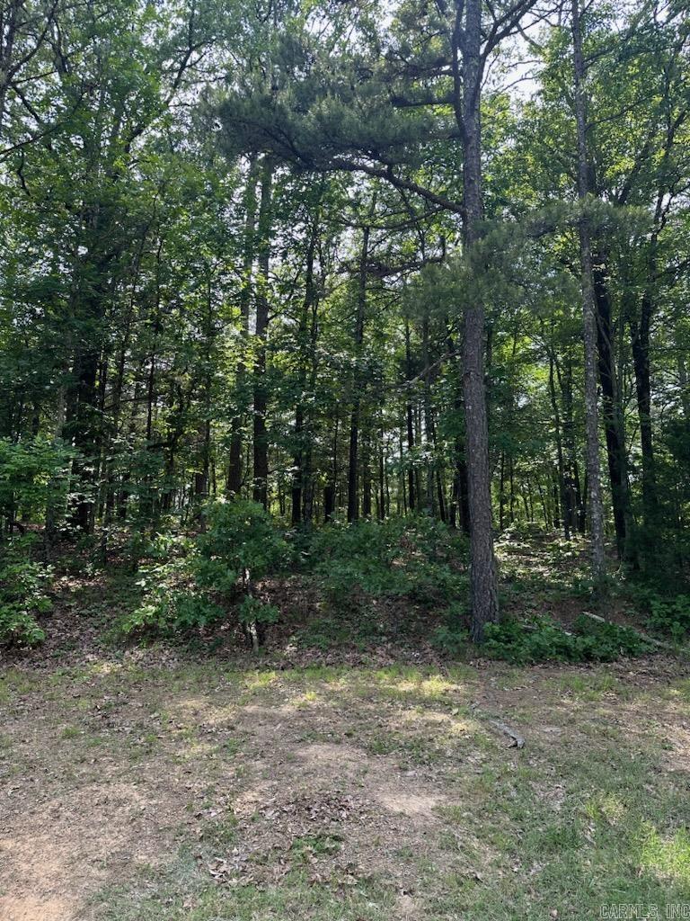 Lot 91 Block 15 Dave Creek Parkway