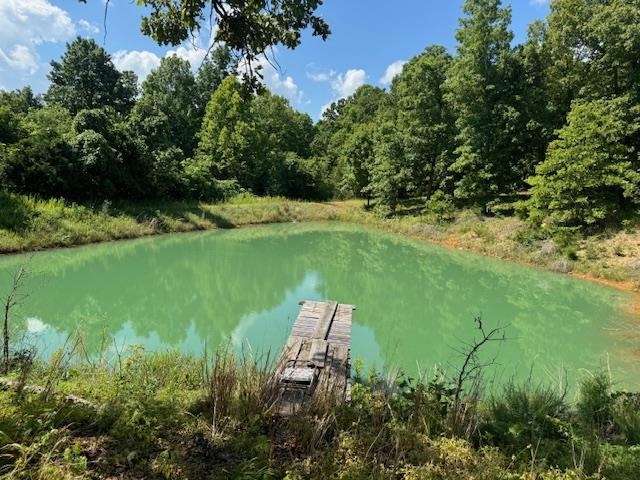 877 Highway 63 Williford, AR 72482-7105