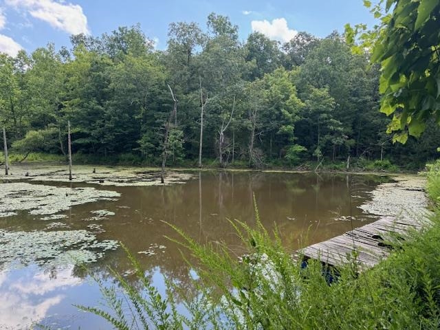 877 Highway 63 Williford, AR 72482-7105