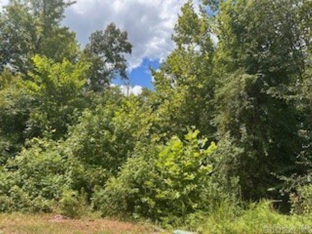 1074  Slate Creek  Lonsdale, AR