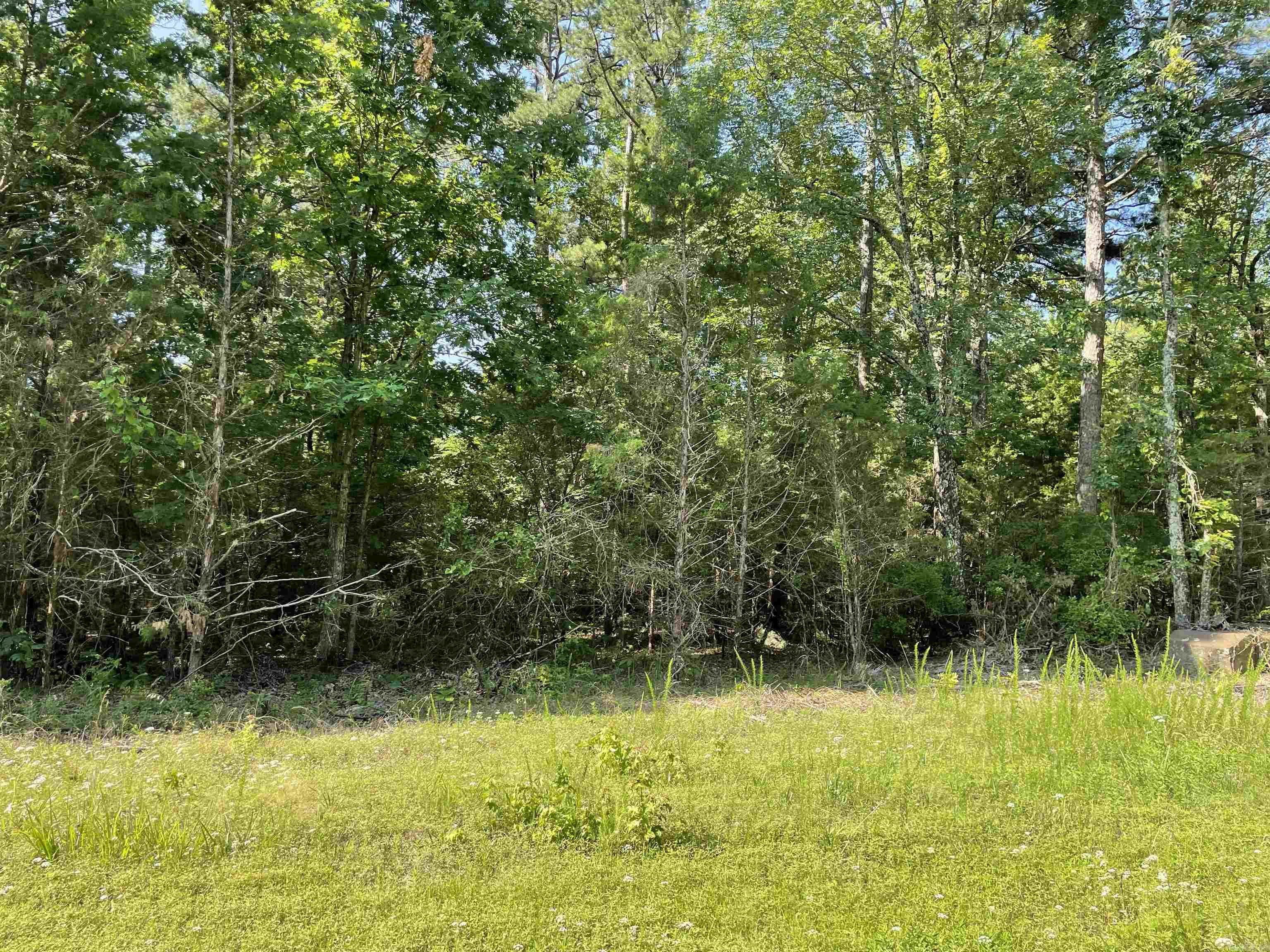 Lot 4 Pleasant Ridge Road Greers Ferry, AR 72067