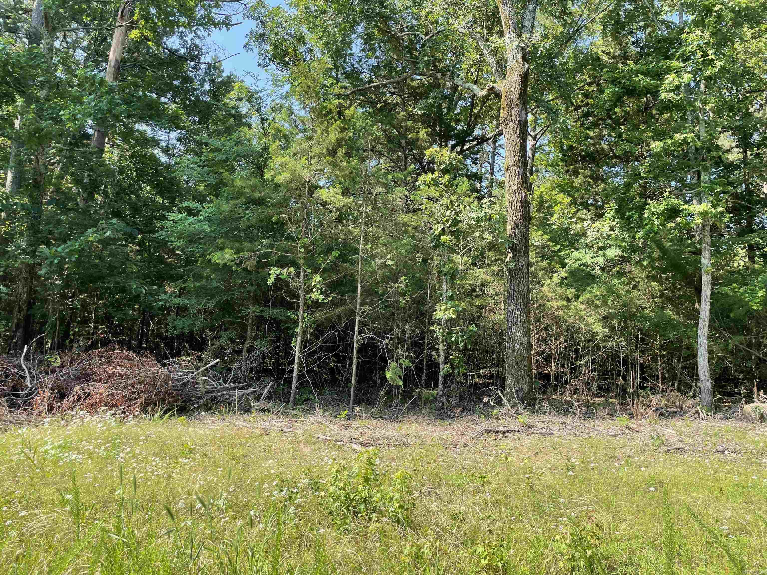 Lot 6 Pleasant Ridge Road Greers Ferry, AR 72067