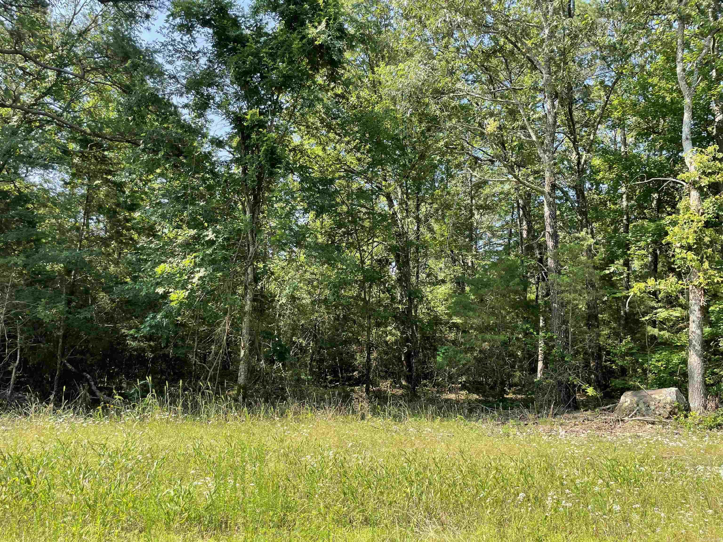 Lot 6 Pleasant Ridge Road Greers Ferry, AR 72067