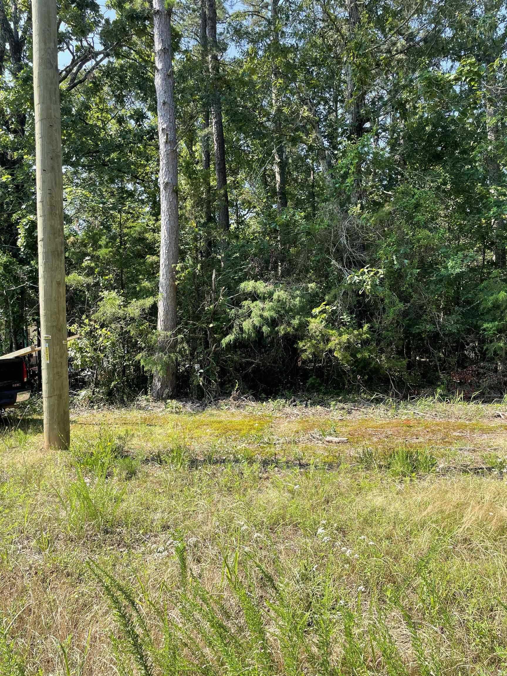 Lot 6 Pleasant Ridge Road Greers Ferry, AR 72067