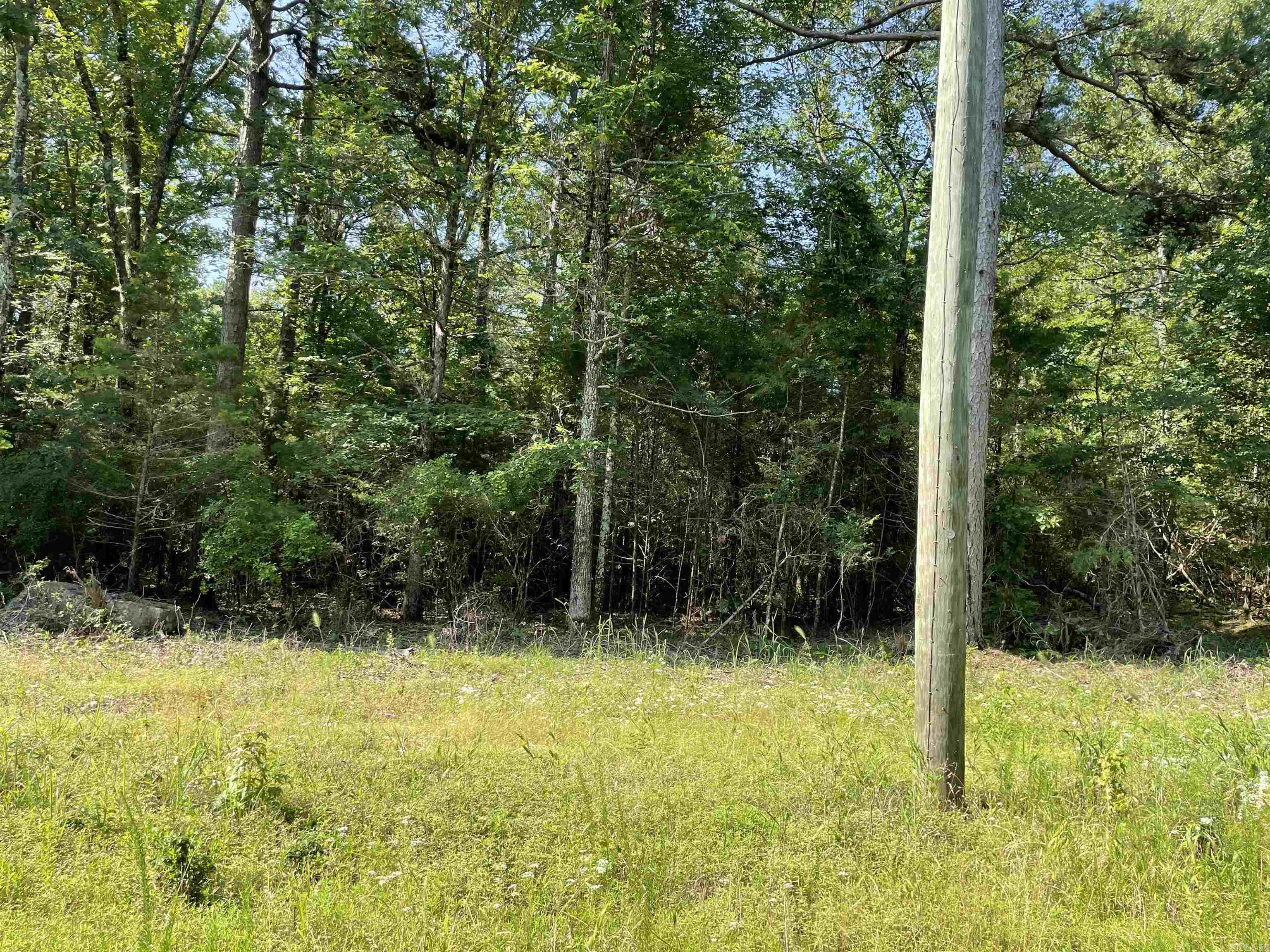 Lot 6 Pleasant Ridge Road Greers Ferry, AR 72067