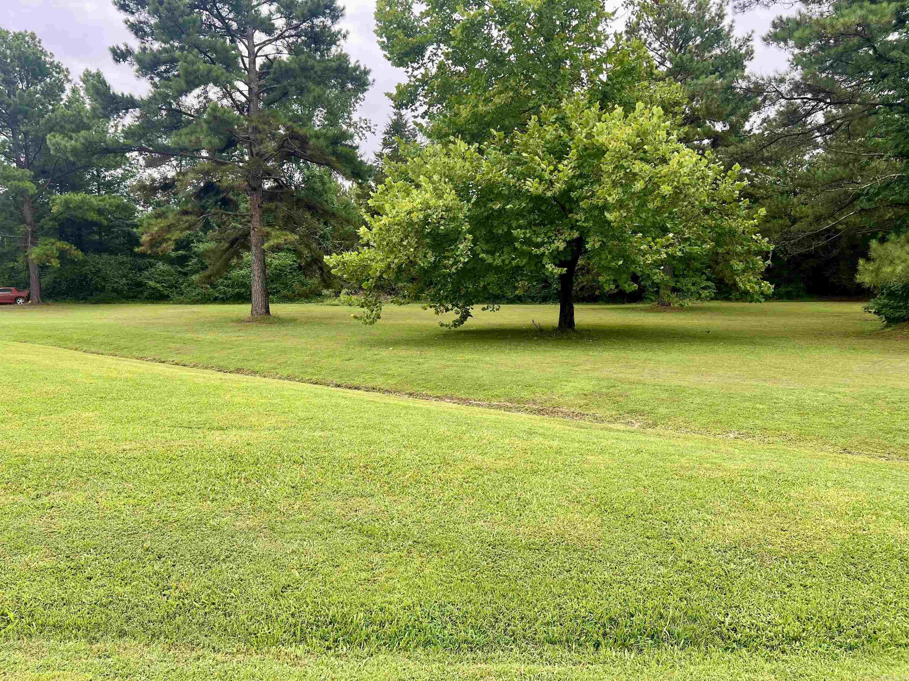 0000  Mountain Side Vacant Lot next to 117 Mountain Side Dr Pangburn, AR