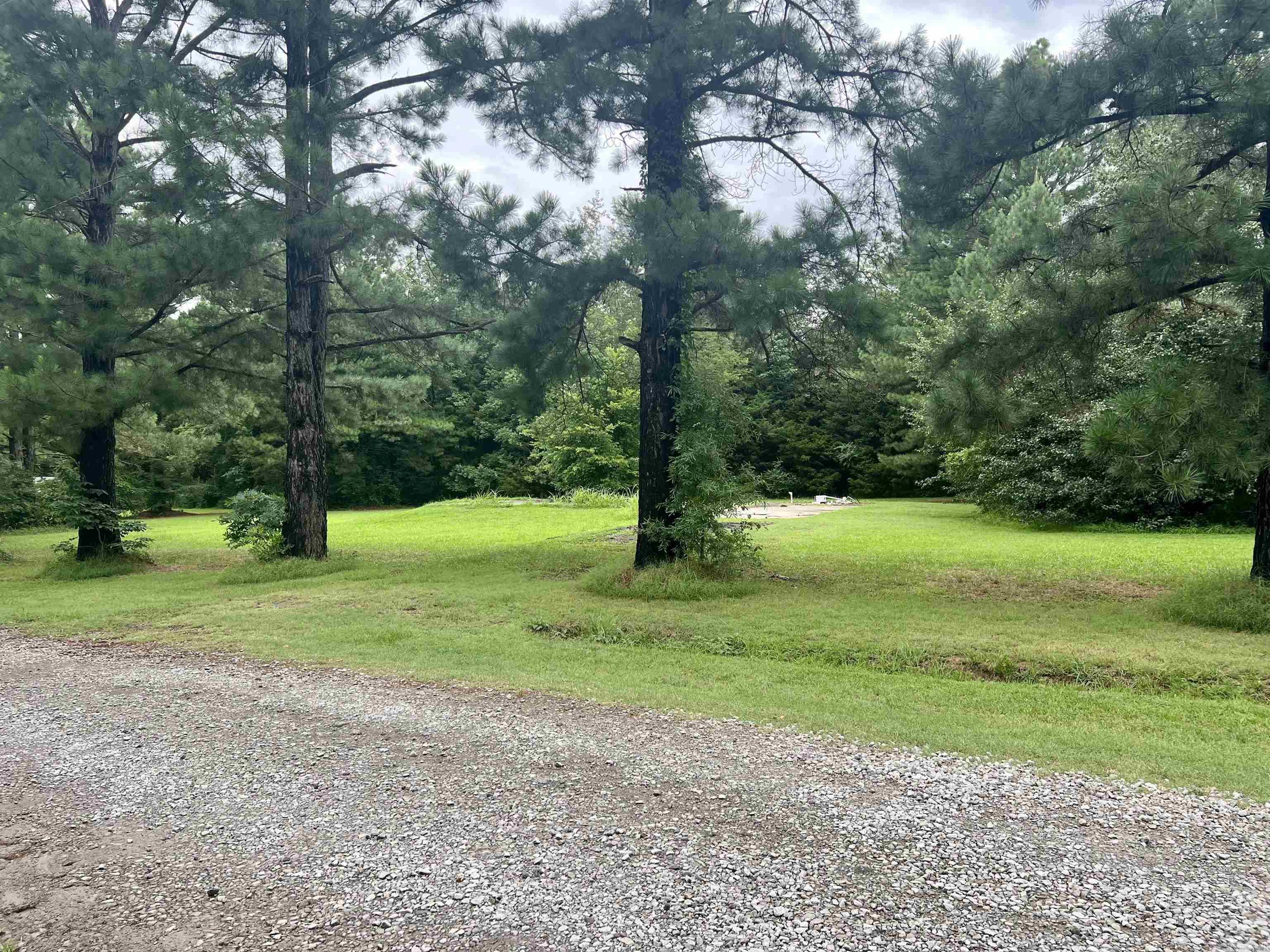 100  Mountain Side  Pangburn, AR