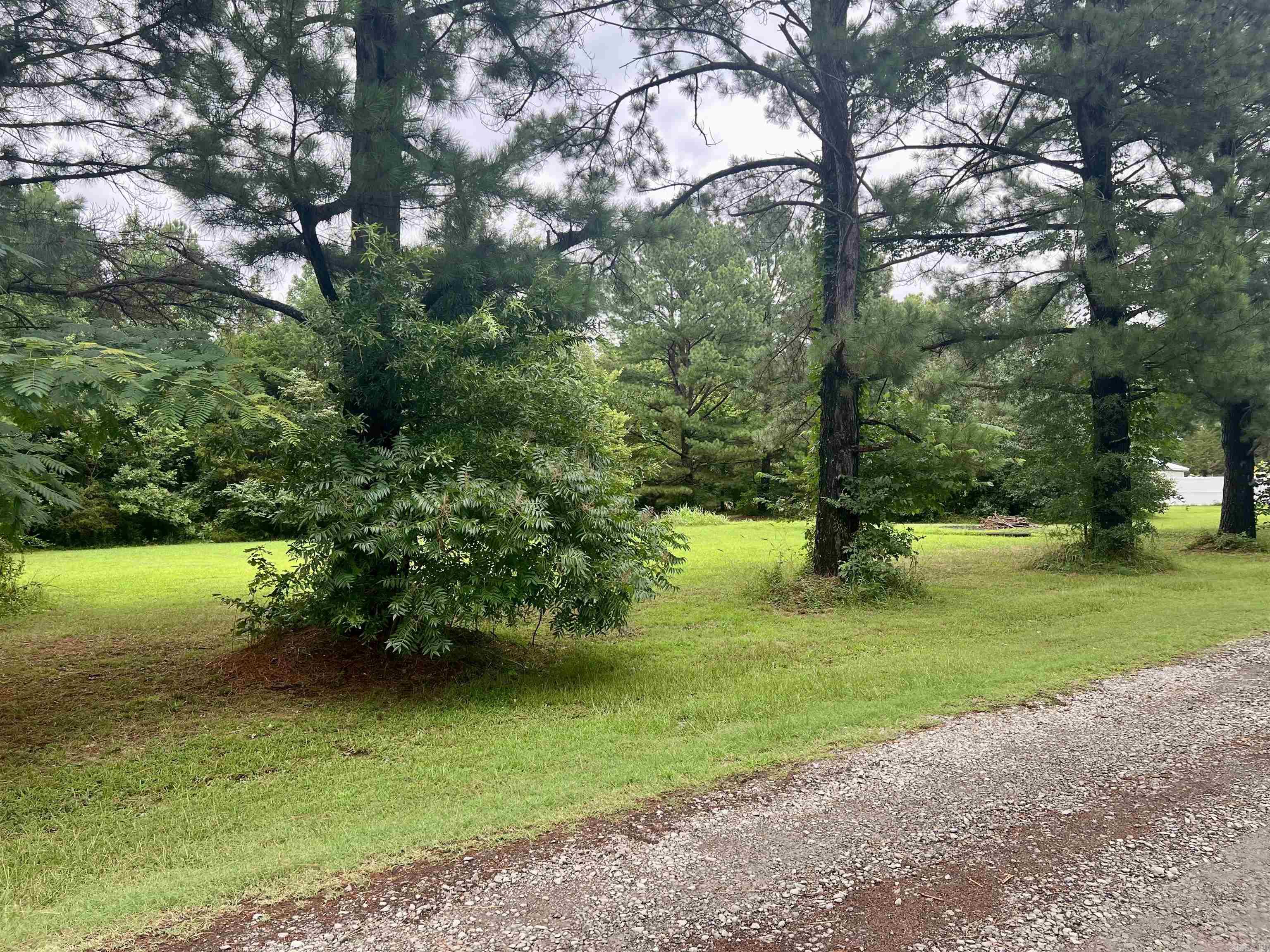 100  Mountain Side  Pangburn, AR