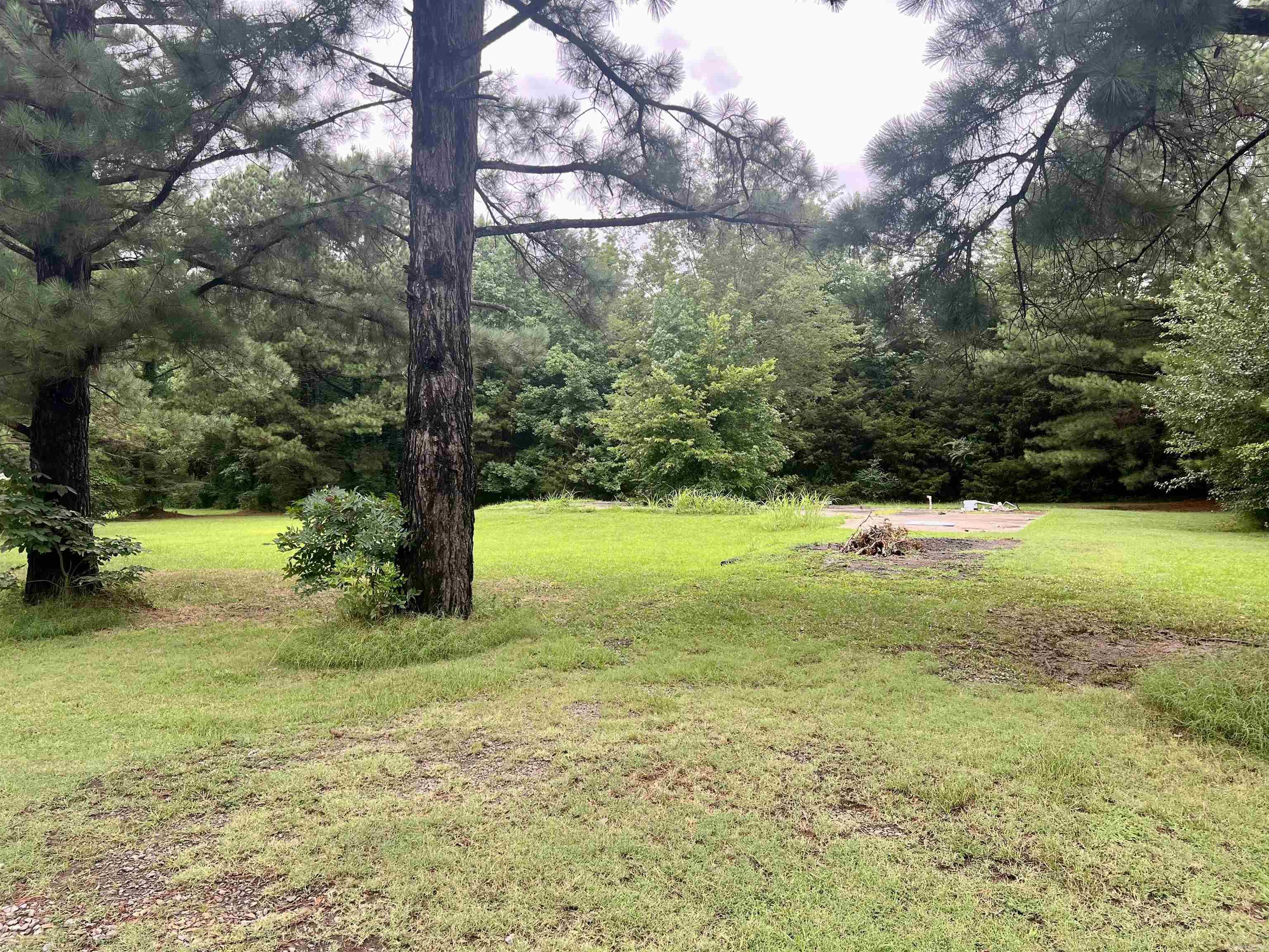 100  Mountain Side  Pangburn, AR