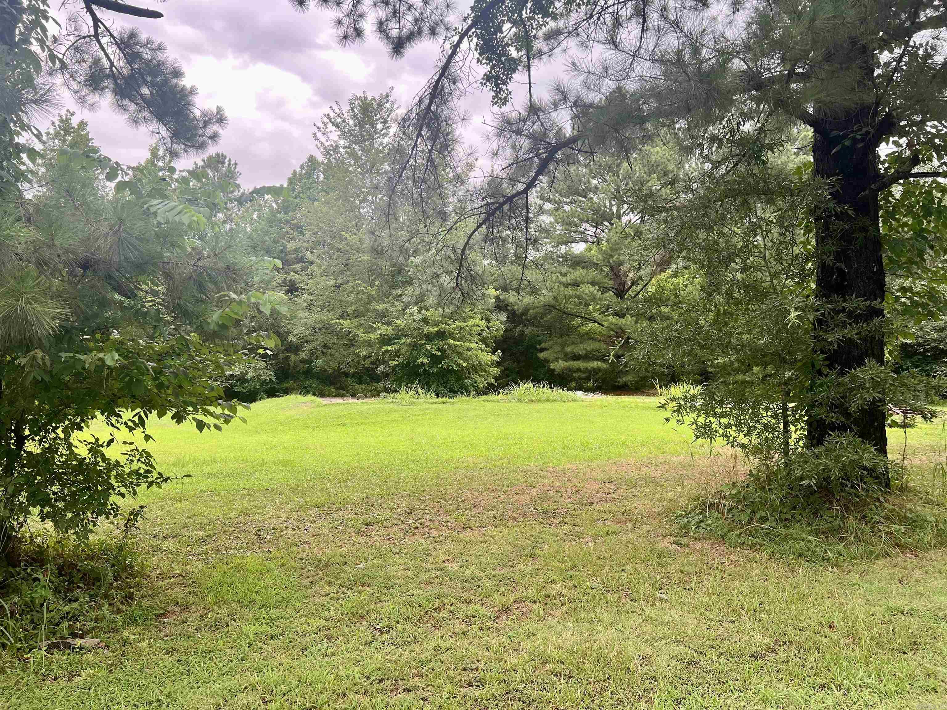 100  Mountain Side  Pangburn, AR