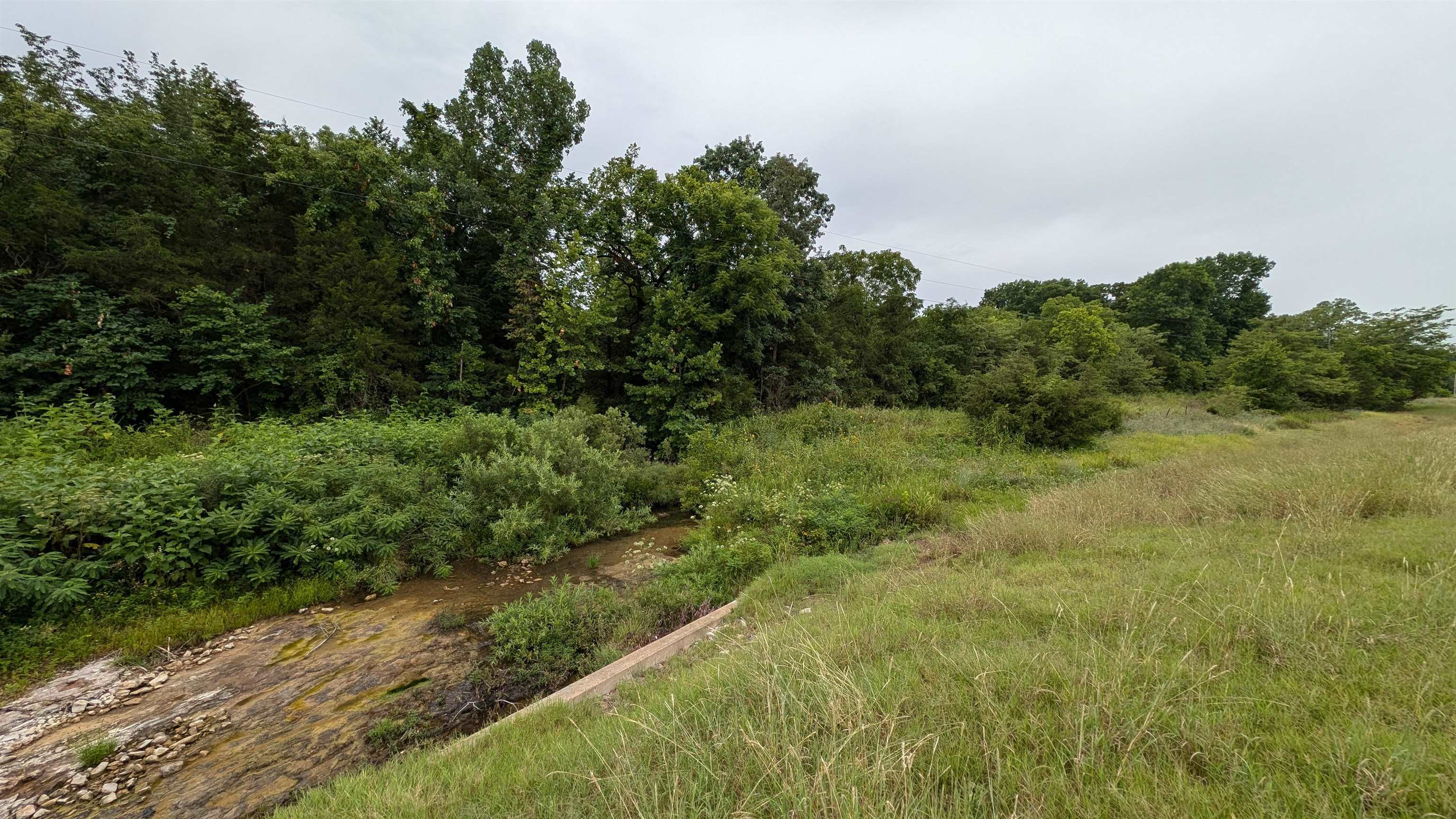 4525  56  Evening Shade, AR