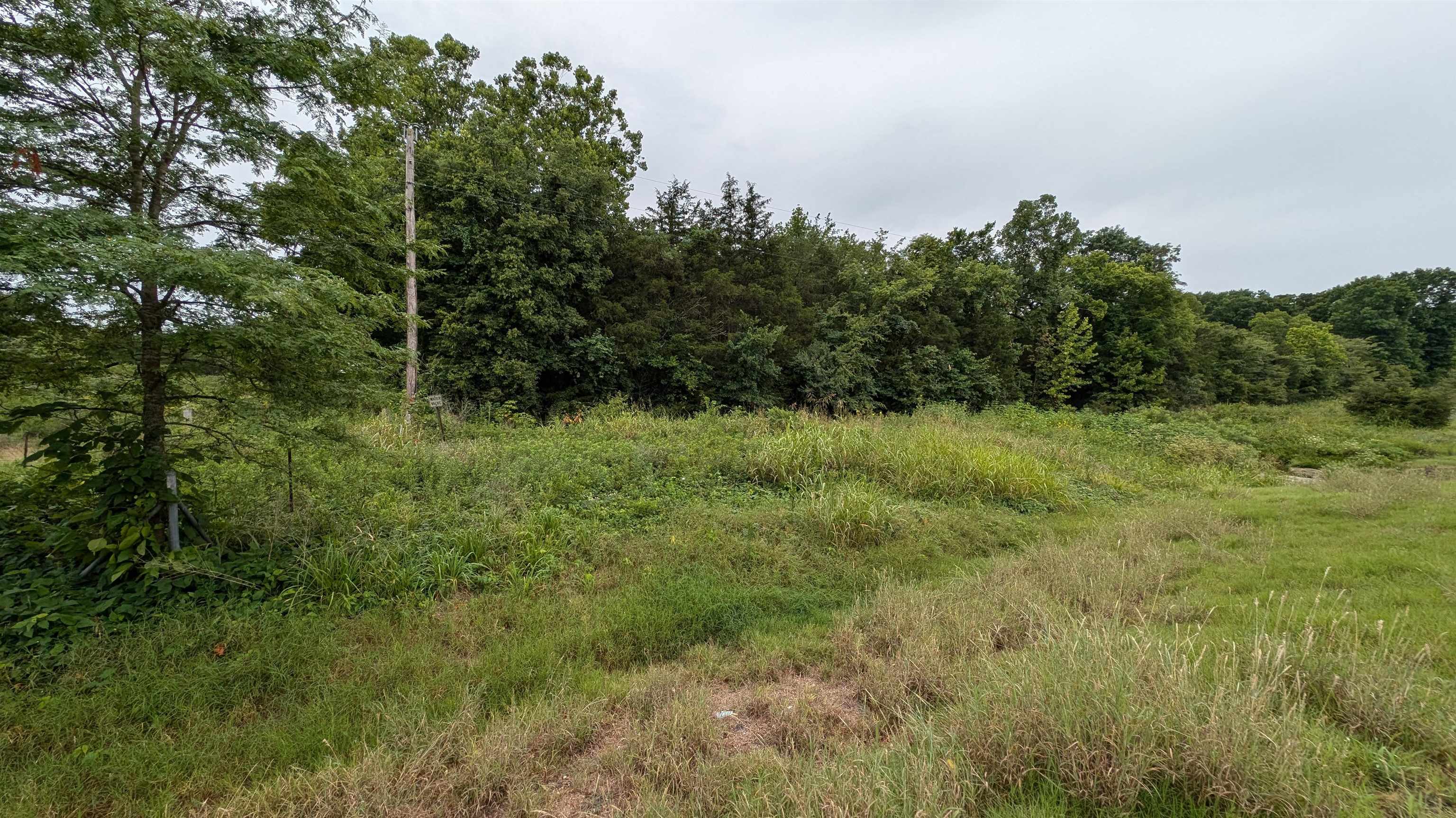 4525  56  Evening Shade, AR
