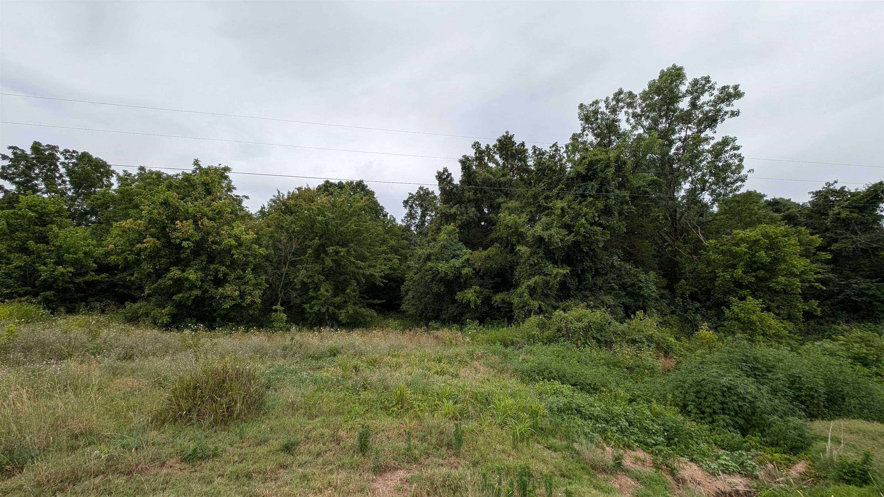 4525  56  Evening Shade, AR