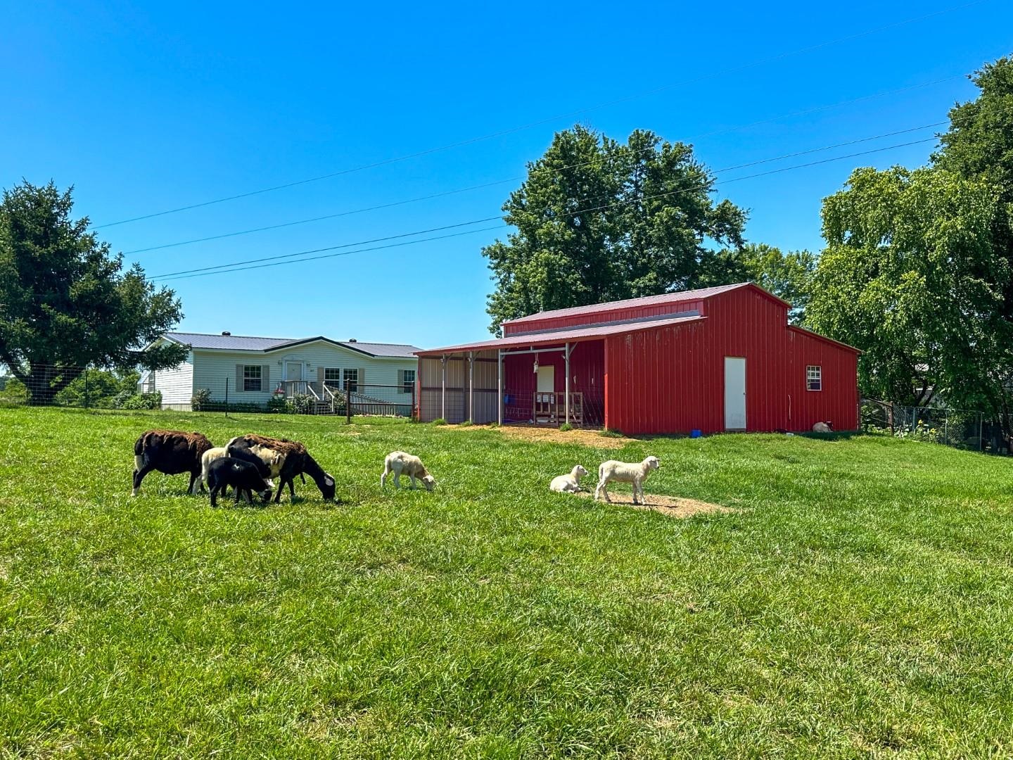 351  Township  Pocahontas, AR