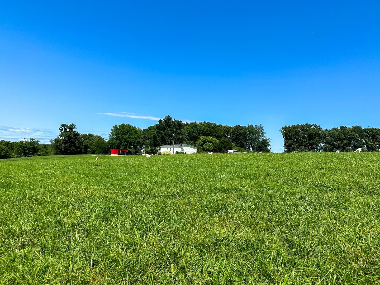 351  Township  Pocahontas, AR