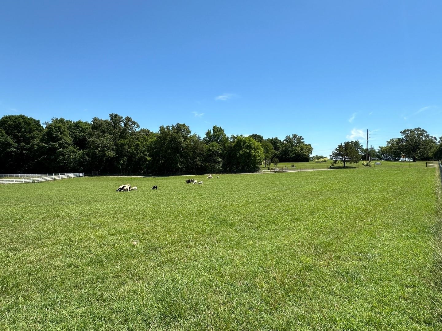 351  Township  Pocahontas, AR
