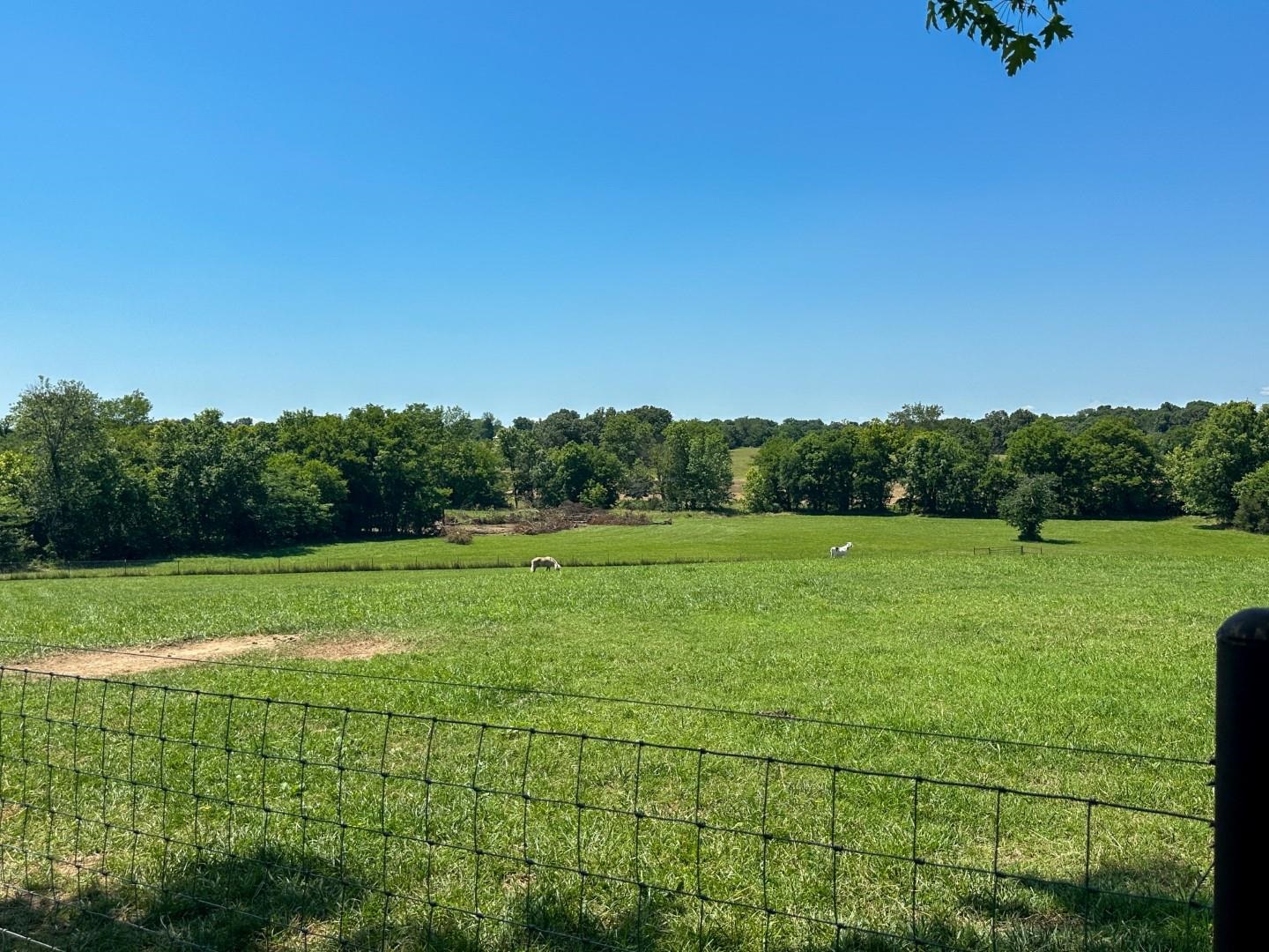 351  Township  Pocahontas, AR