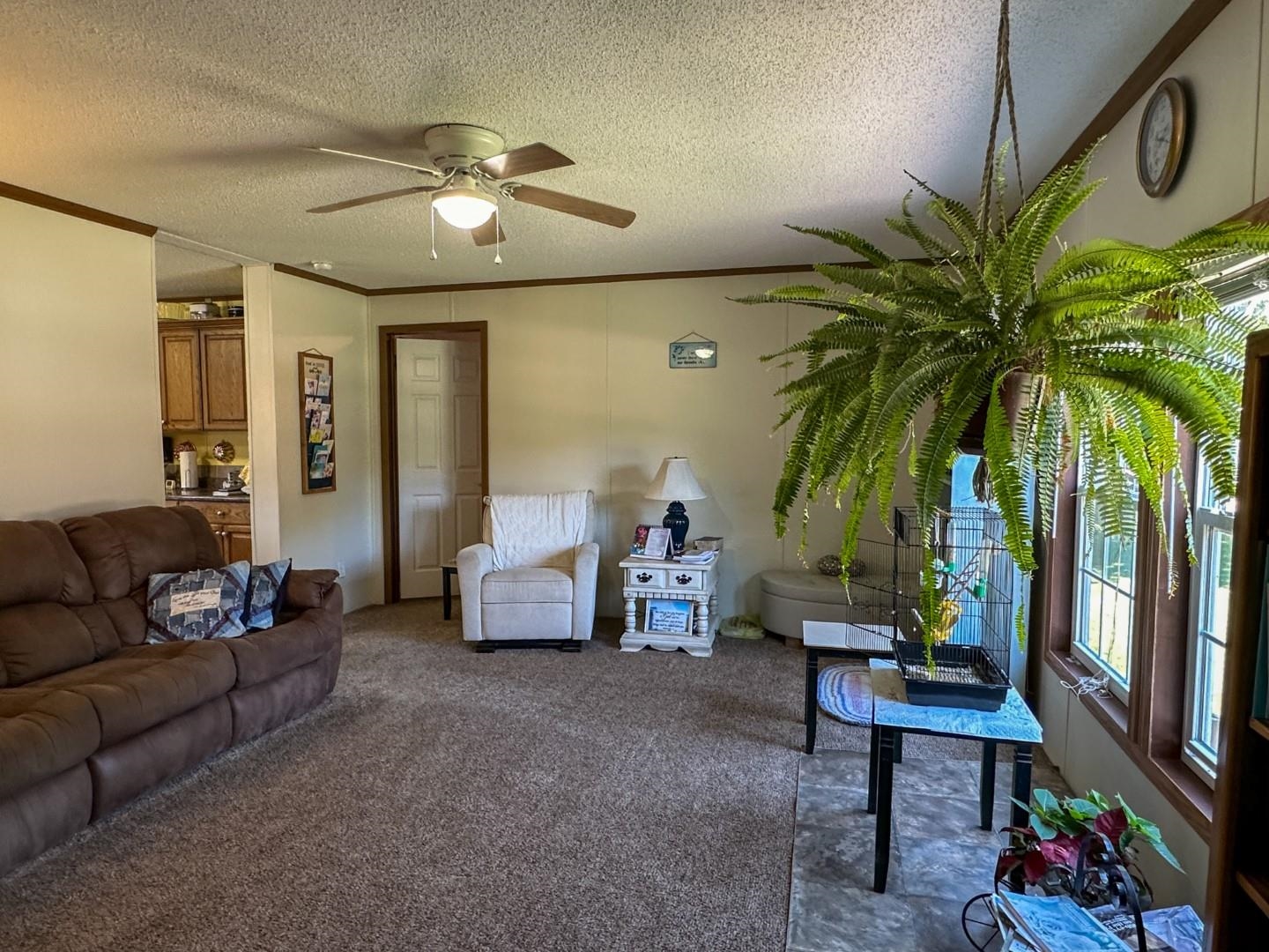 351  Township  Pocahontas, AR