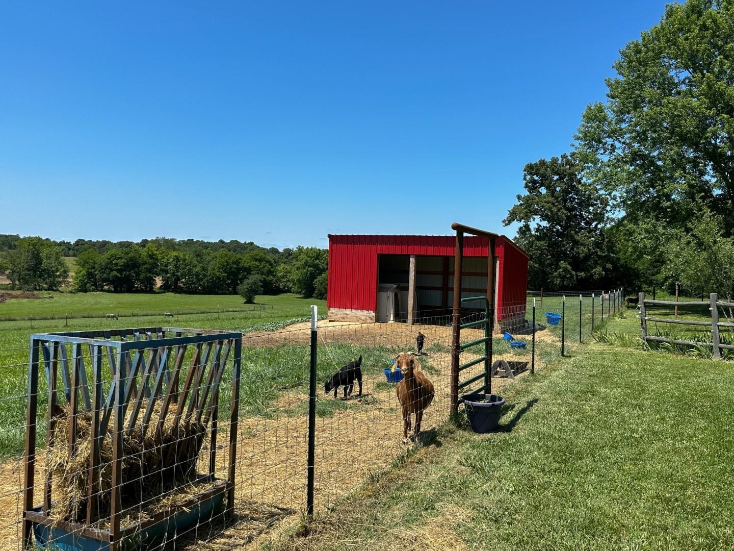 351  Township  Pocahontas, AR