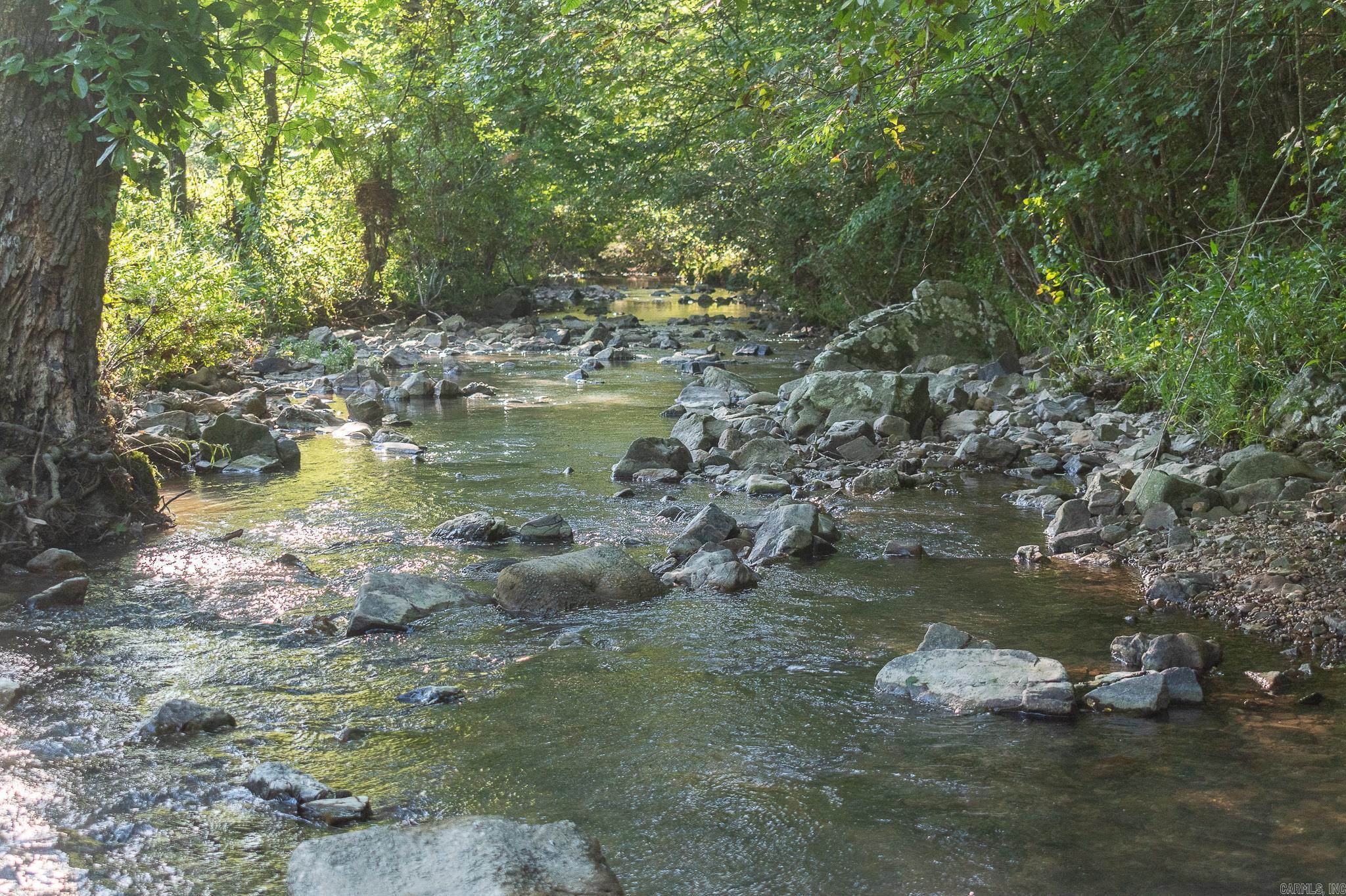343  Almond Rd  Gillham, AR
