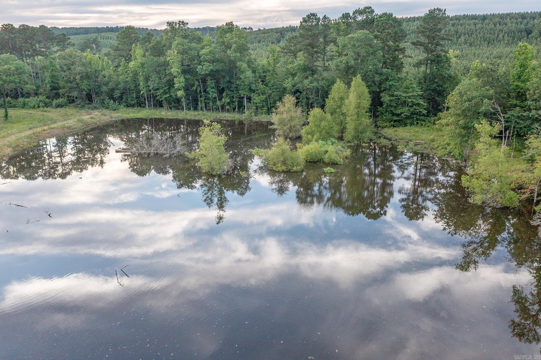 343  Almond Rd  Gillham, AR