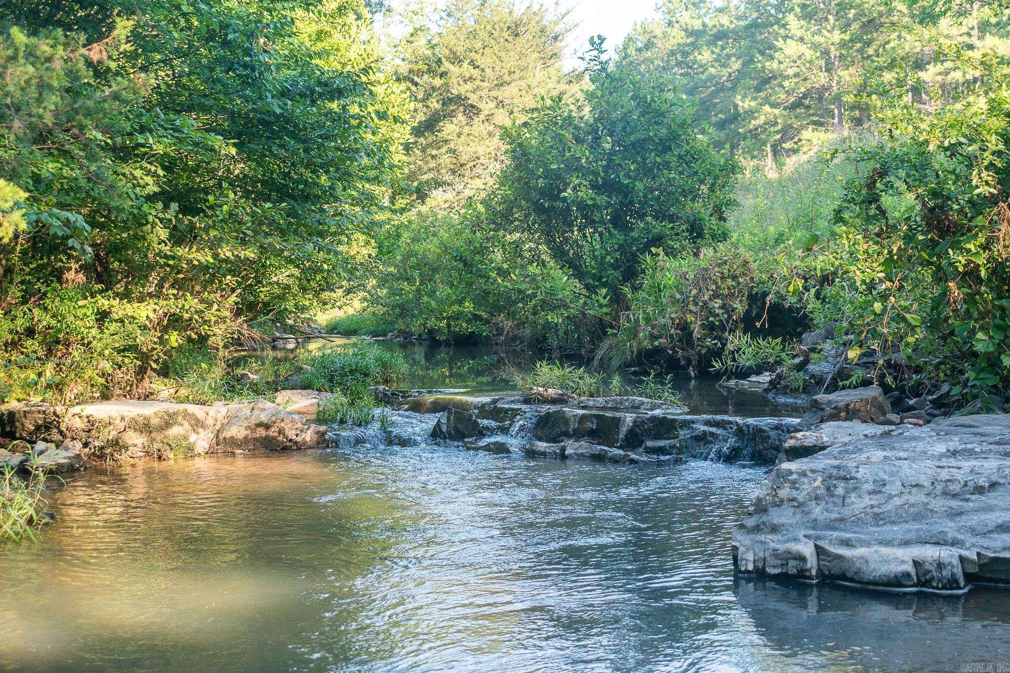 343  Almond Rd  Gillham, AR