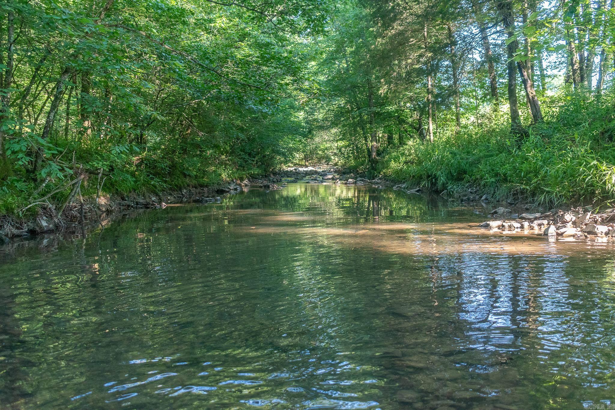 343  Almond Rd  Gillham, AR