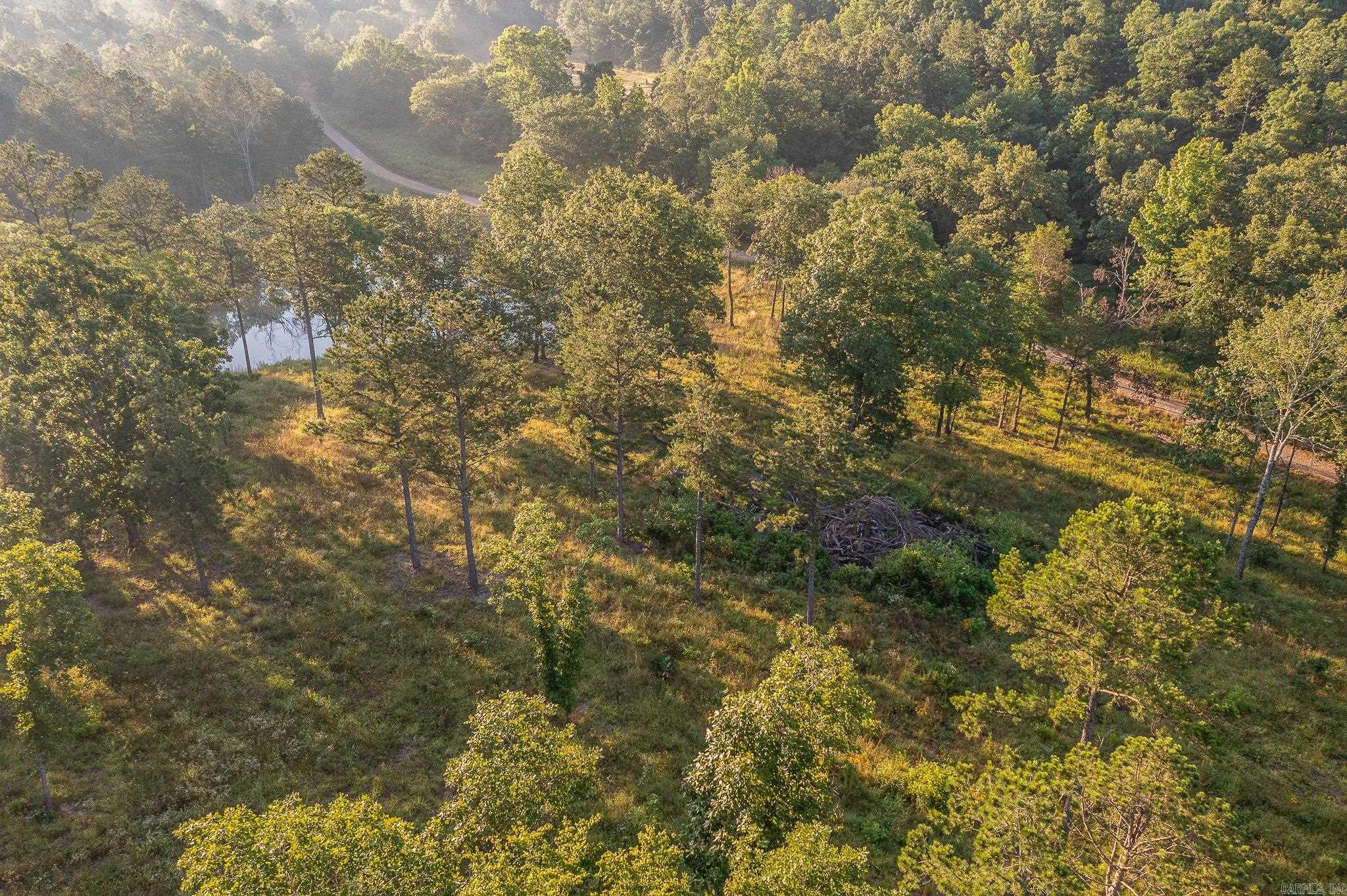 343  Almond Rd  Gillham, AR