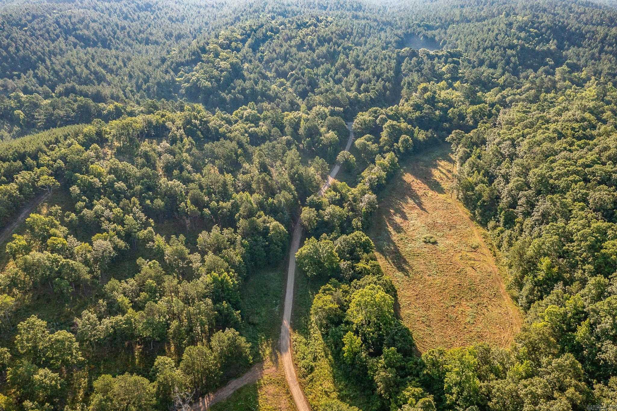 343  Almond Rd  Gillham, AR