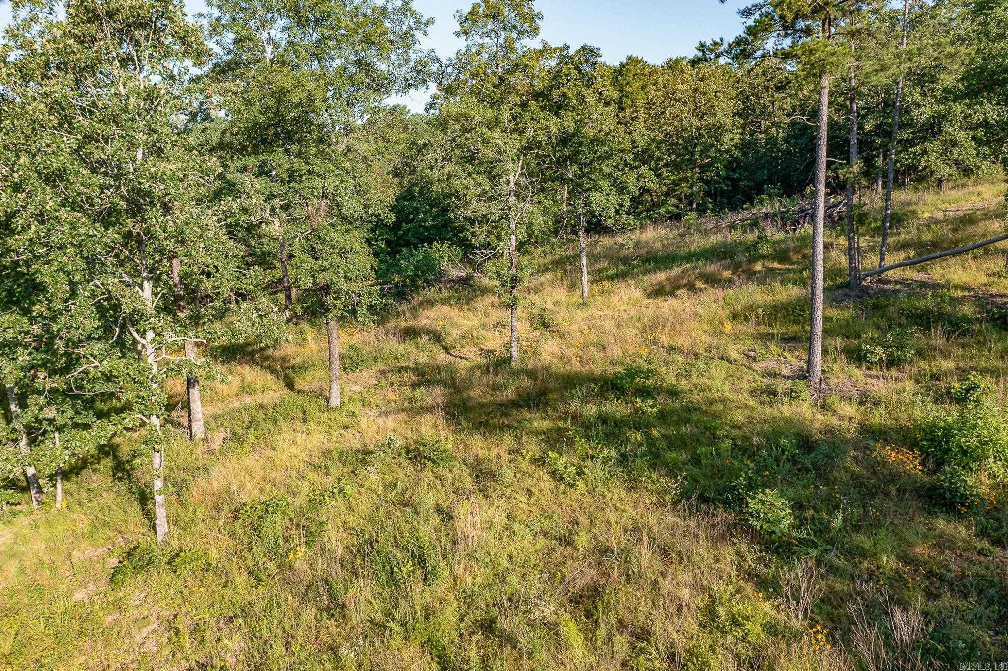 343  Almond Rd  Gillham, AR