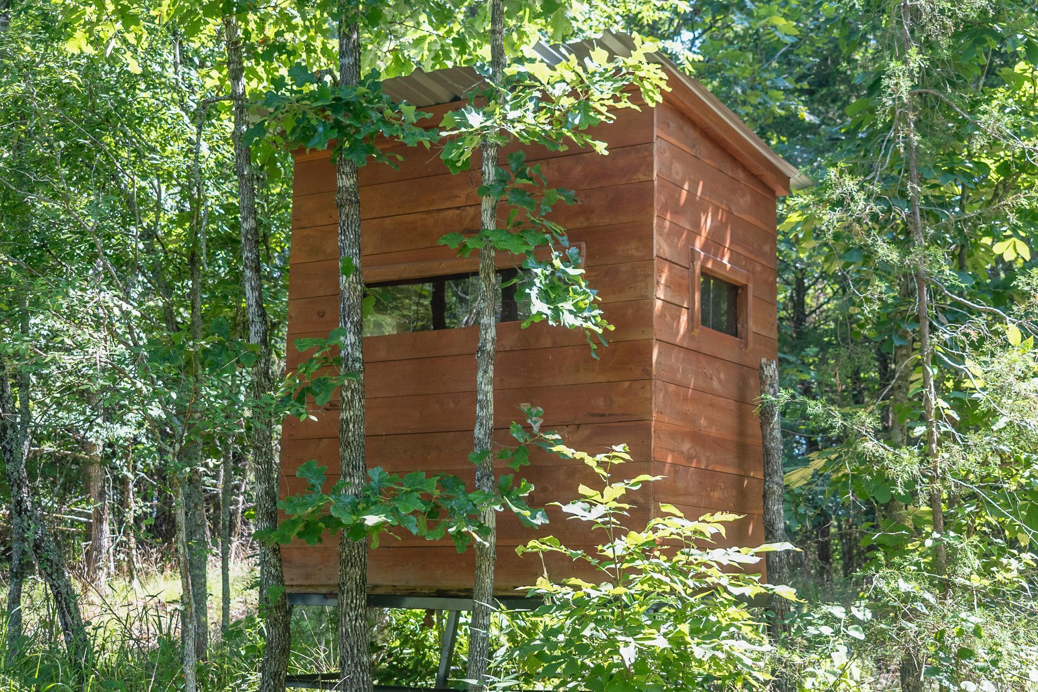 343  Almond Rd  Gillham, AR