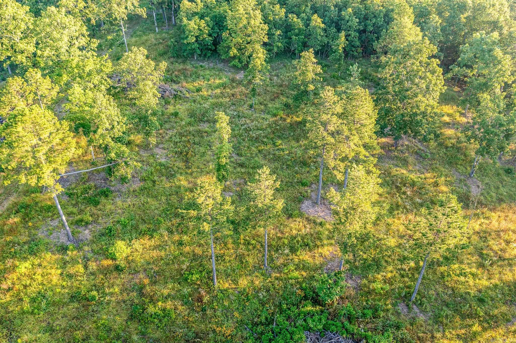 343  Almond Rd  Gillham, AR