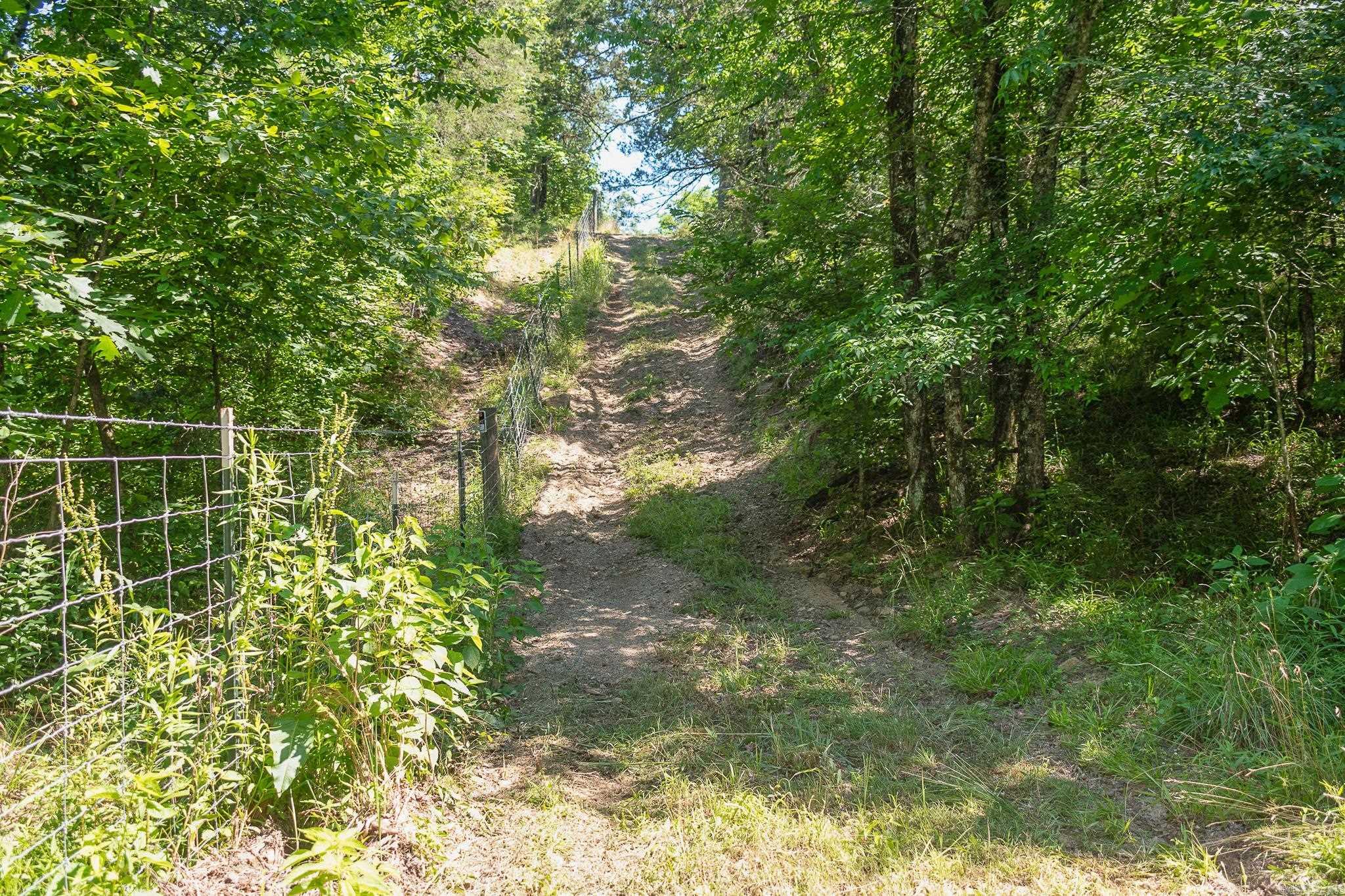 343  Almond Rd  Gillham, AR