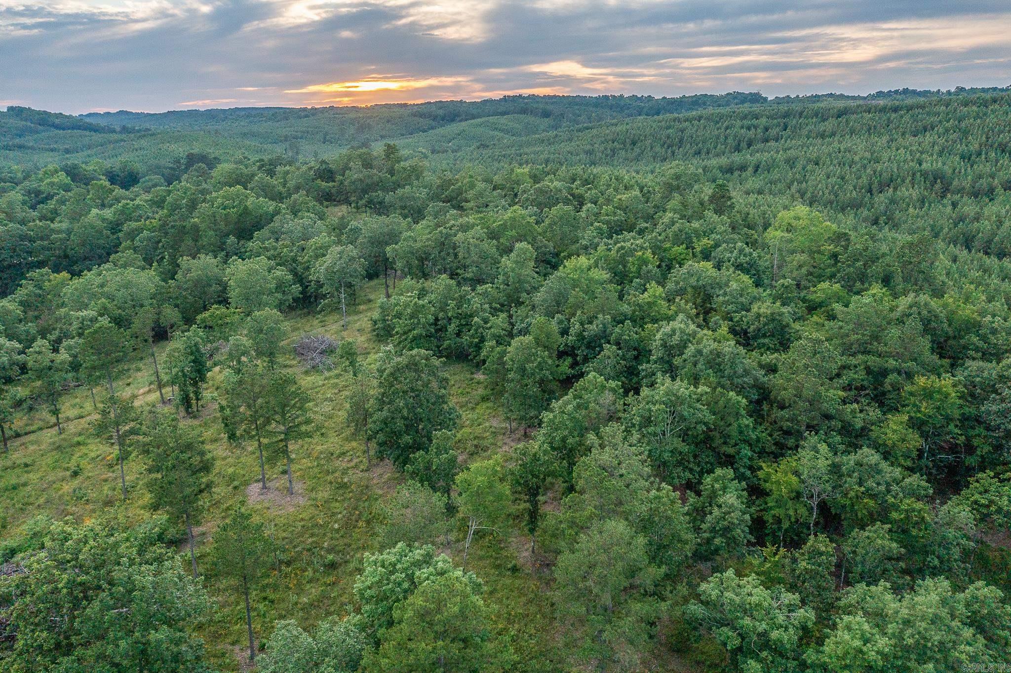 343  Almond Rd  Gillham, AR