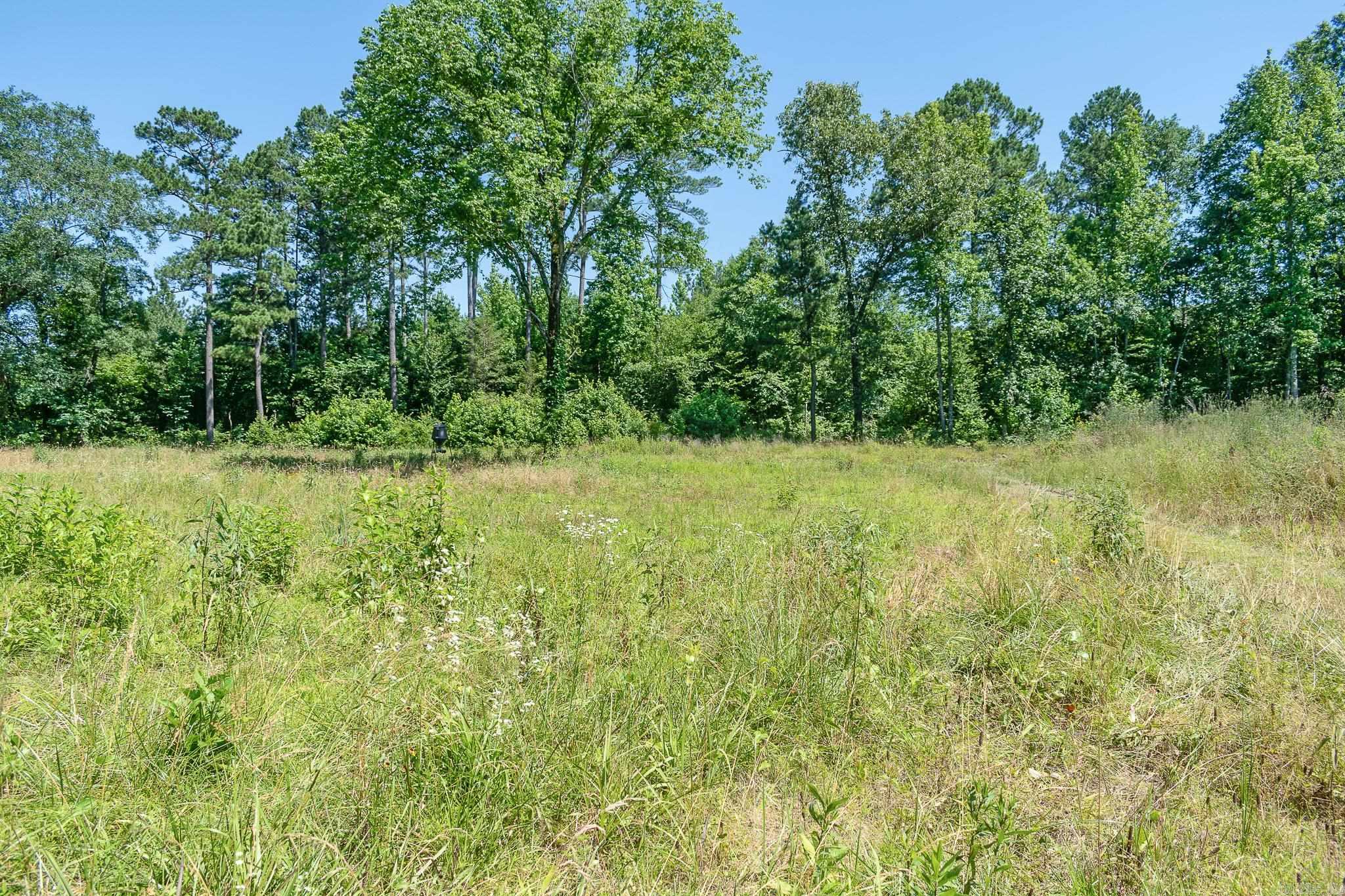 343  Almond Rd  Gillham, AR