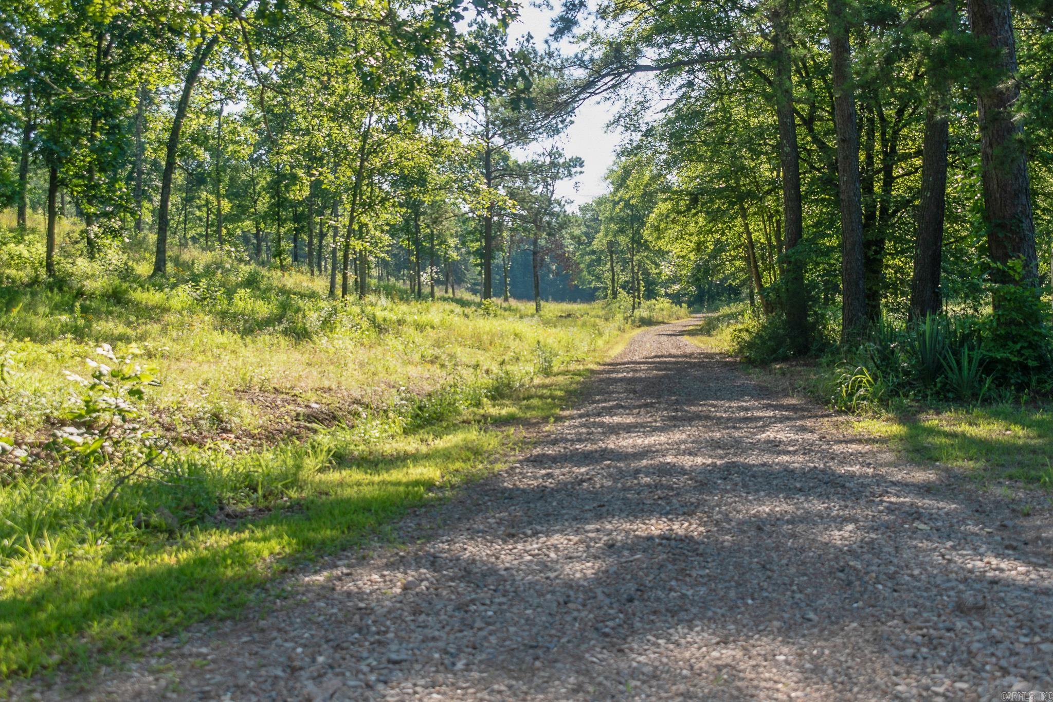 343  Almond Rd  Gillham, AR