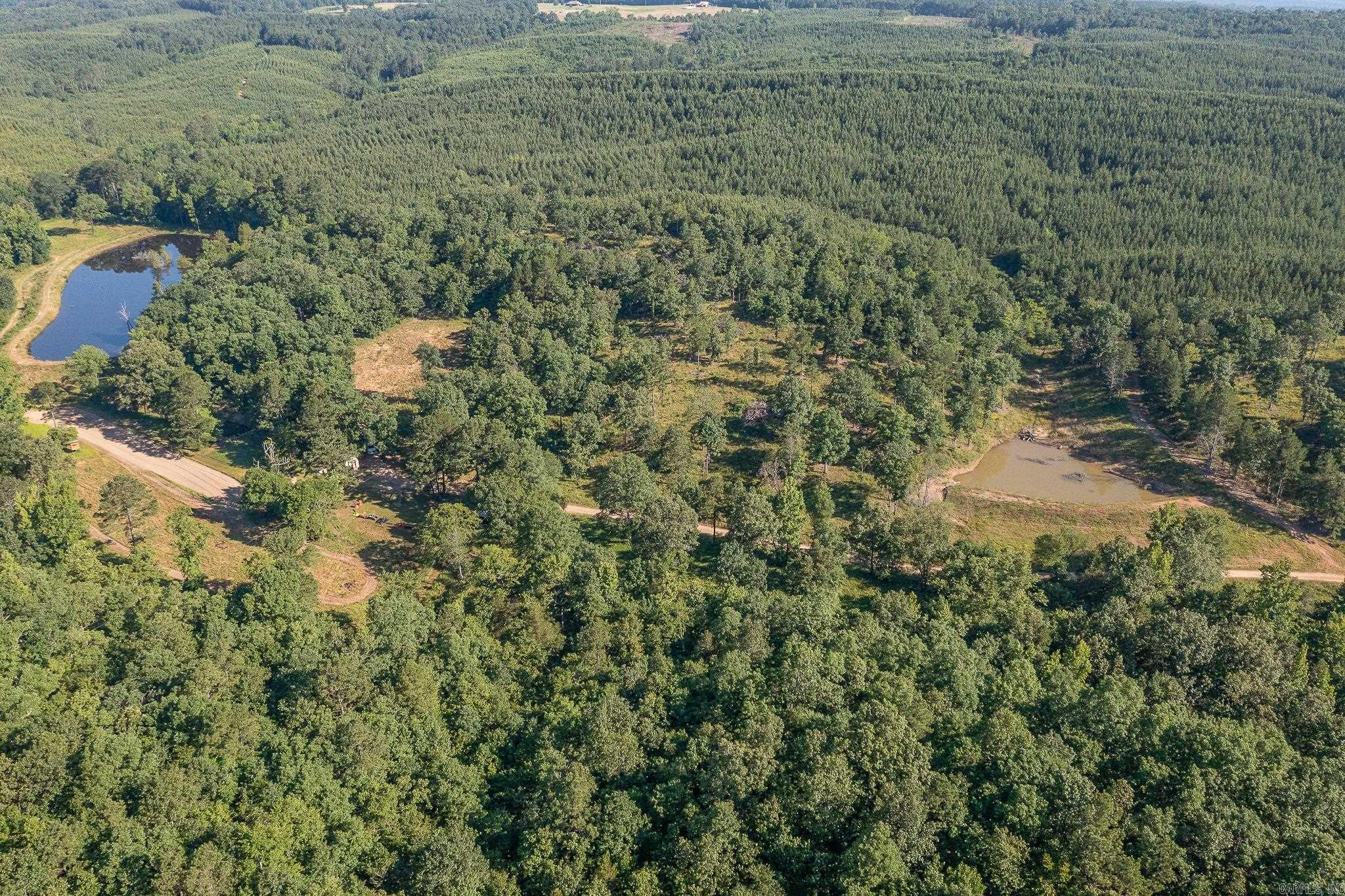 343  Almond Rd  Gillham, AR