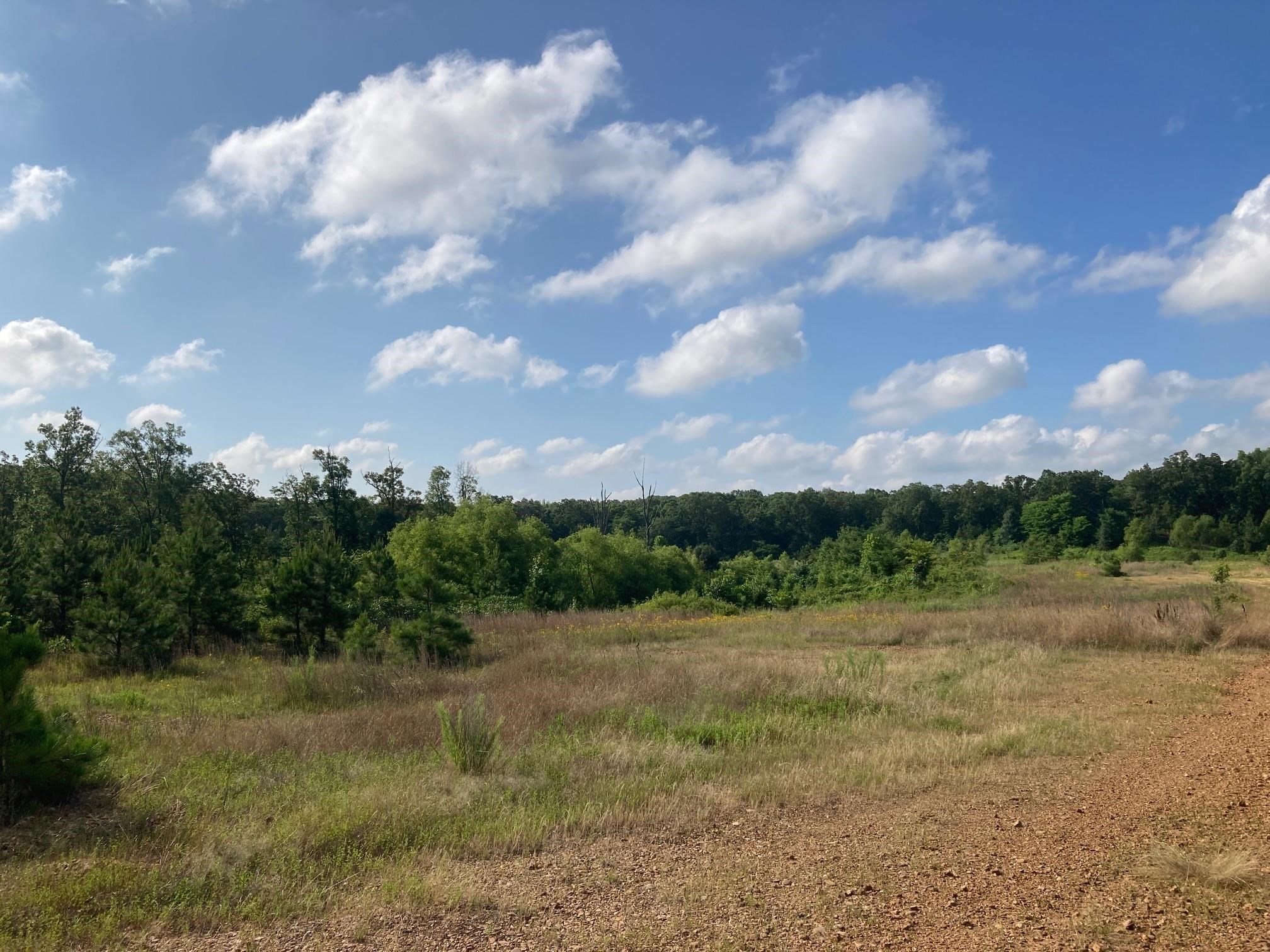 2713 W Matthews  Jonesboro, AR