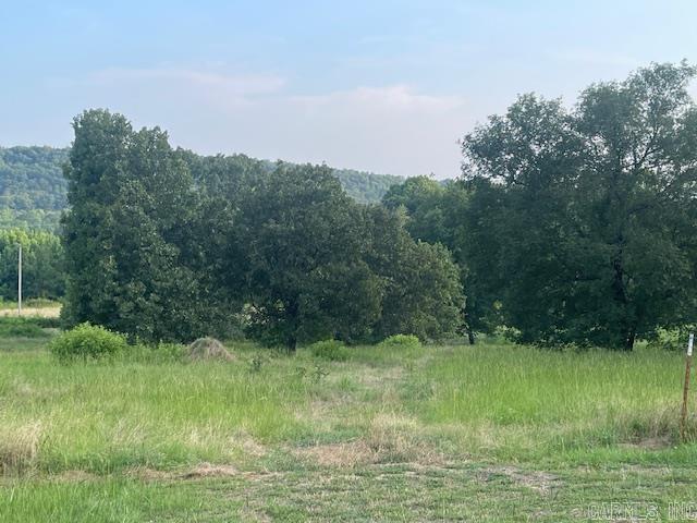 114  Castlepines  Greenbrier, AR