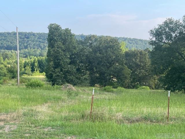 114  Castlepines  Greenbrier, AR