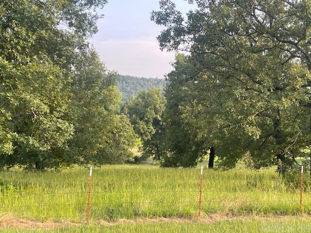 114  Castlepines  Greenbrier, AR