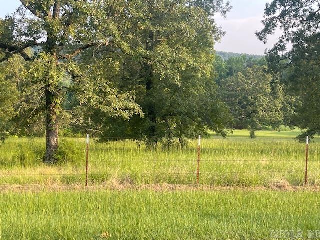 114  Castlepines  Greenbrier, AR