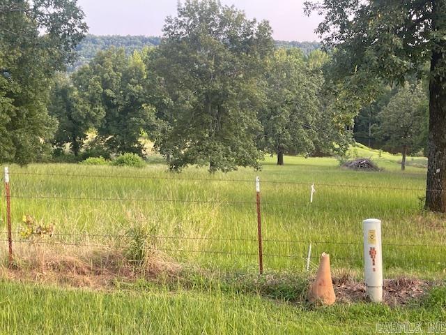 114  Castlepines  Greenbrier, AR
