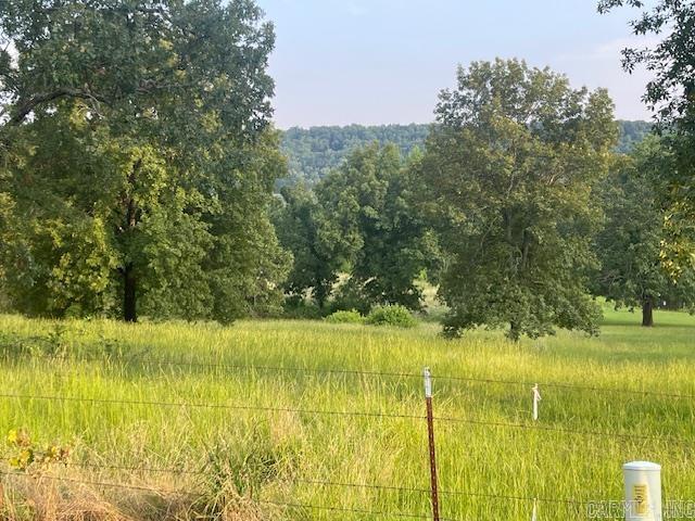 114  Castlepines  Greenbrier, AR