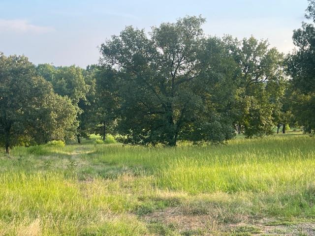 114  Castlepines  Greenbrier, AR