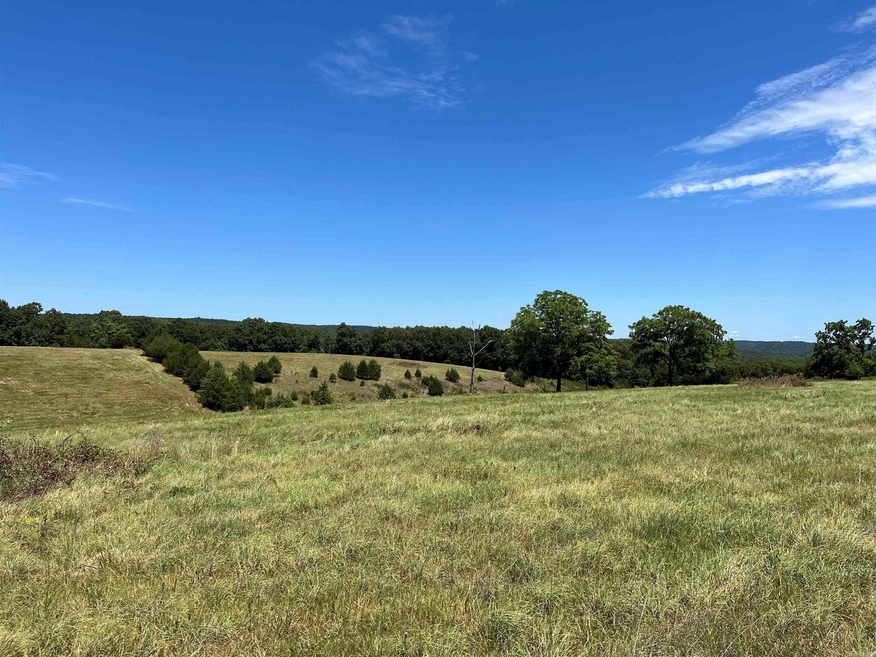 00  Gaylor  Mountain View, AR
