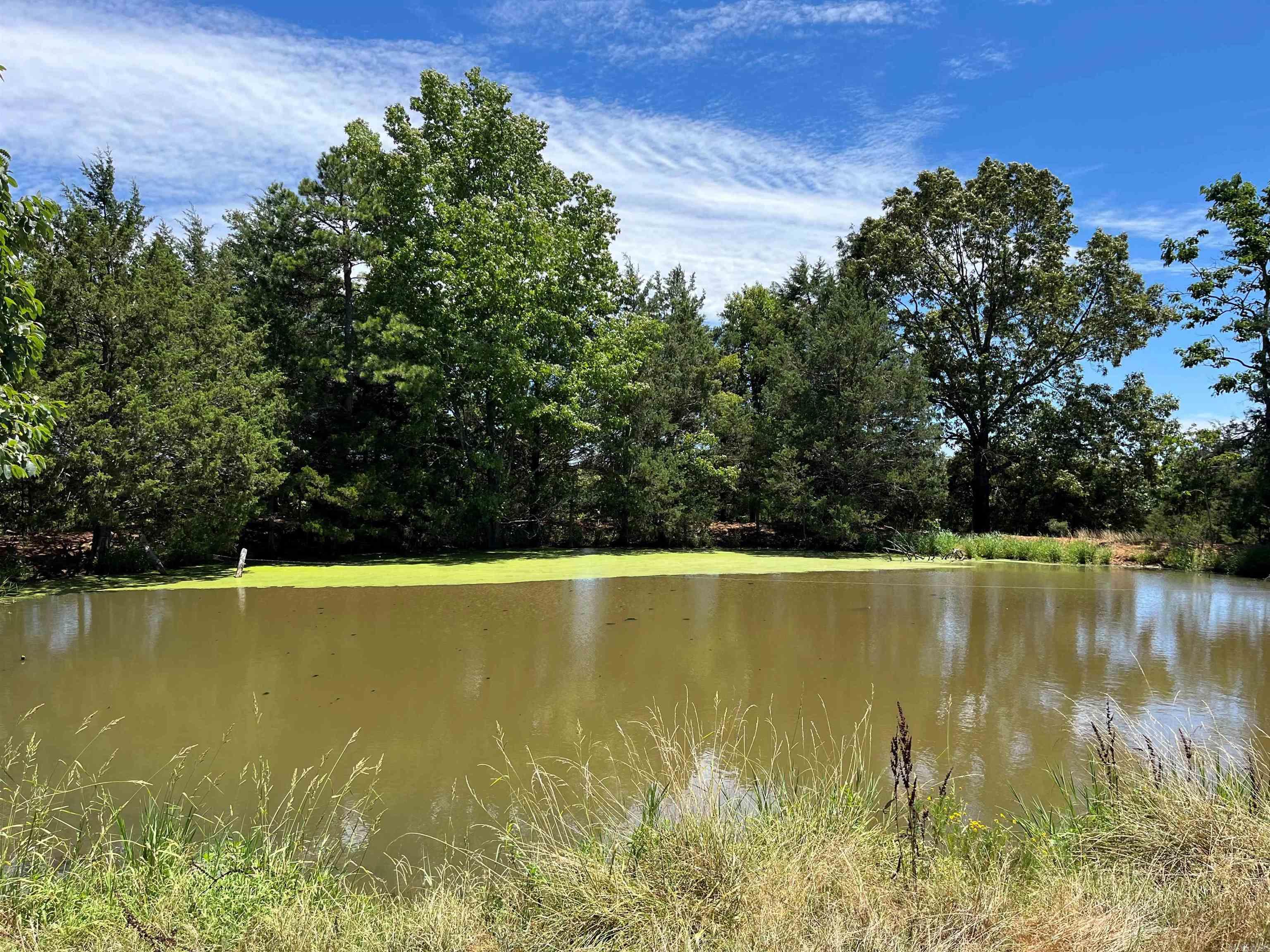 00  Gaylor  Mountain View, AR