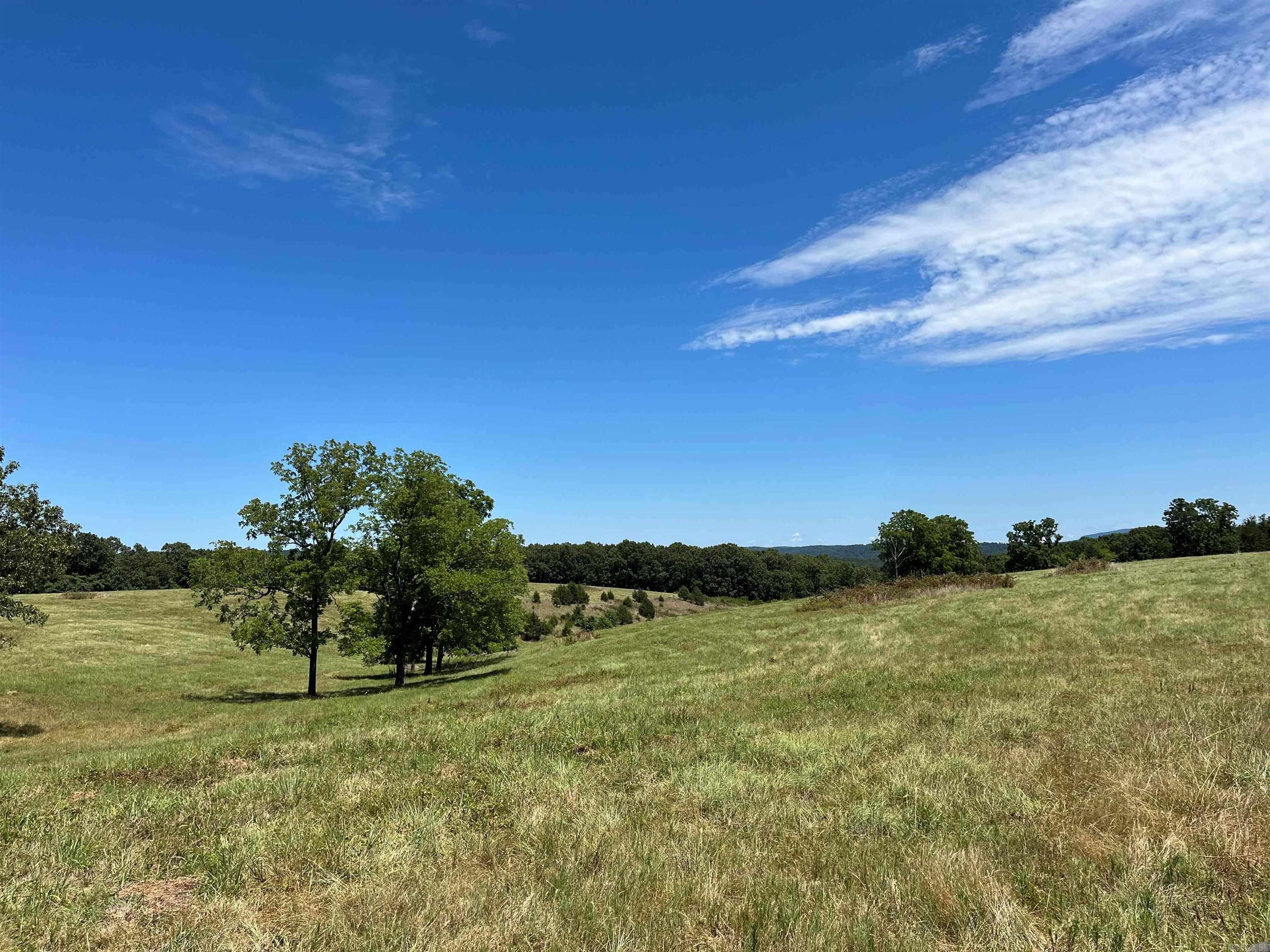 00  Gaylor  Mountain View, AR